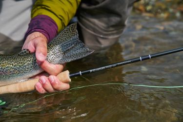 Old AuSable Fly Shop  Fly Fishing Products Backed By Pros