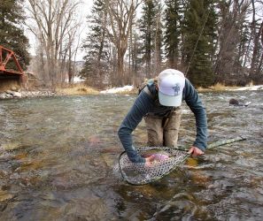 Fishpond Nomad El Jefe Net